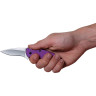 Нож KERSHAW 1620PUR SCALLION PURPLE