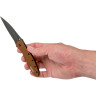 Нож KERSHAW 1660BRZBLK LEEK