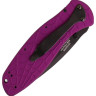 Нож KERSHAW 1670SPPR BLUR